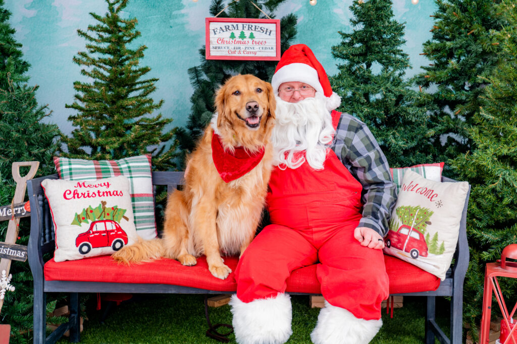 Pet photos shop with santa