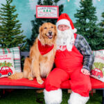 2021 Santa Comes to the Pets Photo Opportunities