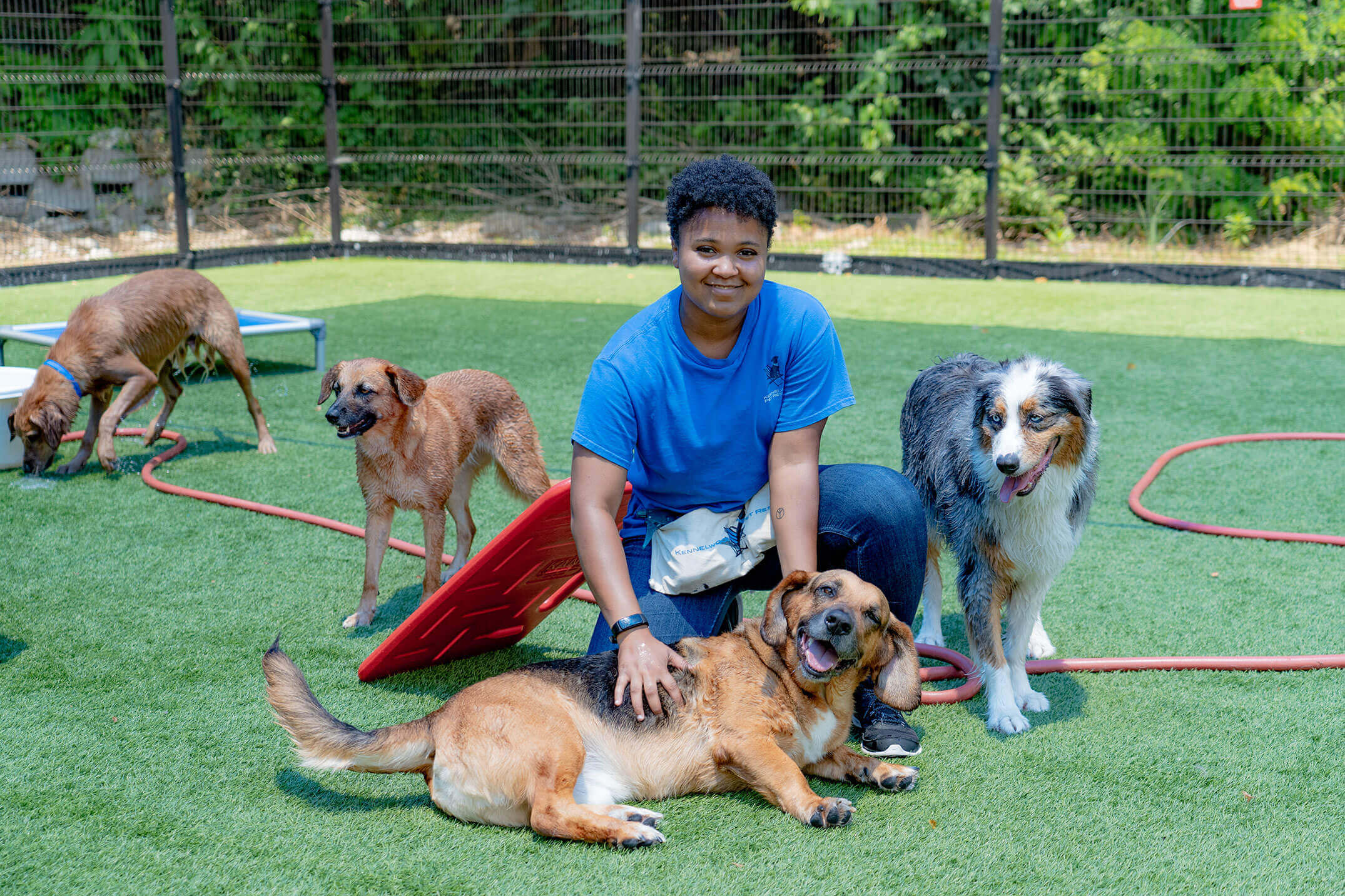 Kennelwood trainer with happy dogs playing outside