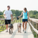 Dog Friendly Events in STL in August