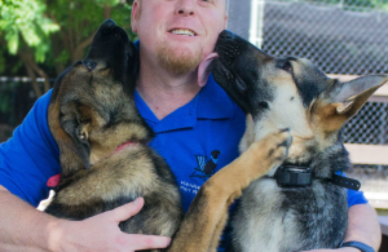 Kevin the Kennelwood Trainer getting licked by two dogs